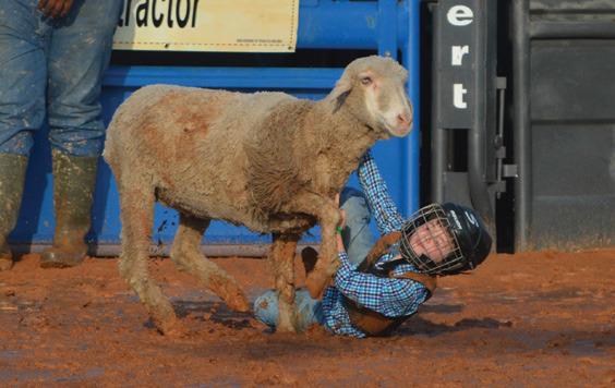 Caleb Hernandez tries to hold onto his sheep during mutton bustin’ at the Riata Roundup Rodeo on Friday. erick mitchell | dispatch record
